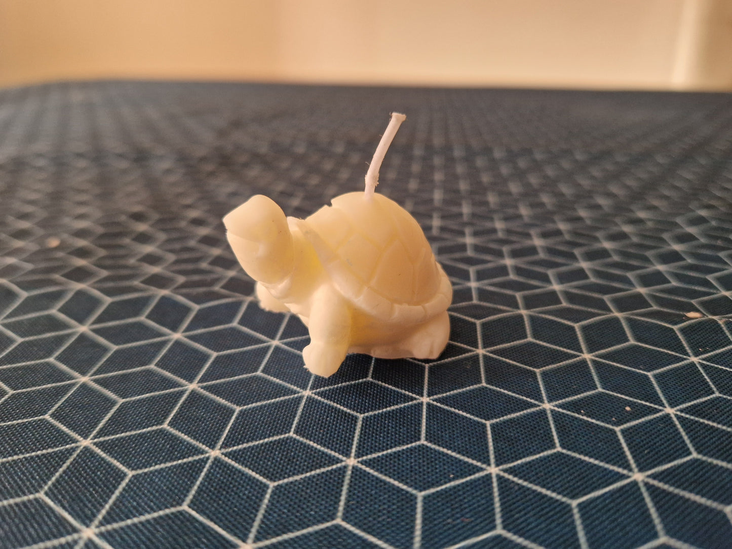 Bougie Tortue