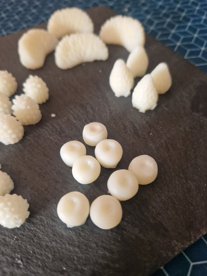 Fondant format Fruit