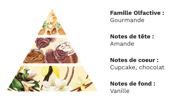 La Gourmande - Mousse au Chocolat