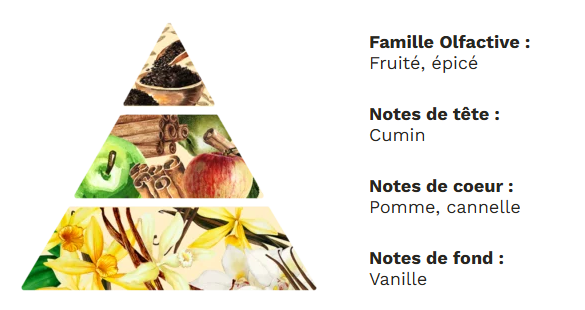 Coeur/Etoile de Noël