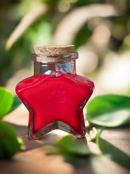 Coeur/Etoile de Noël